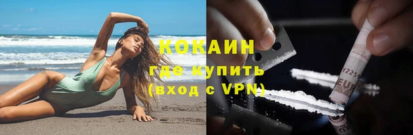 трава Коряжма