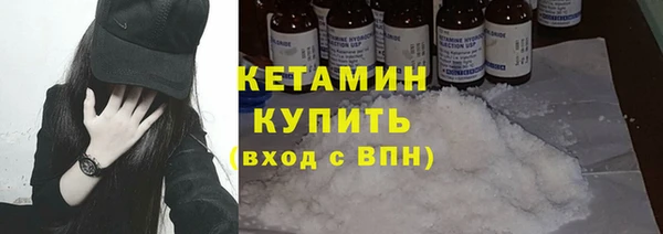 трава Коряжма