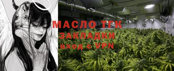 трава Коряжма