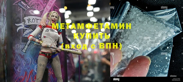 трава Коряжма
