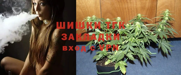 трава Коряжма