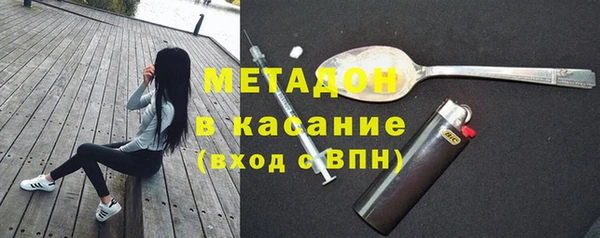 трава Коряжма